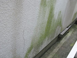 外壁の劣化のサイン｜外壁の汚れ（カビ・コケ・錆び）
